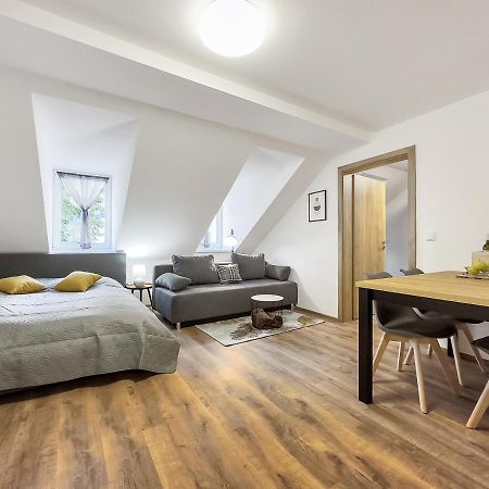 Apartment Katrin 2 卡罗维发利 外观 照片