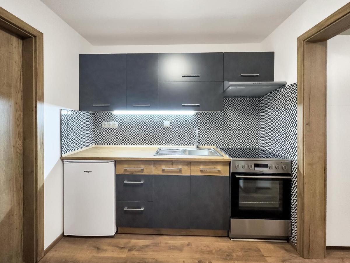 Apartment Katrin 2 卡罗维发利 外观 照片